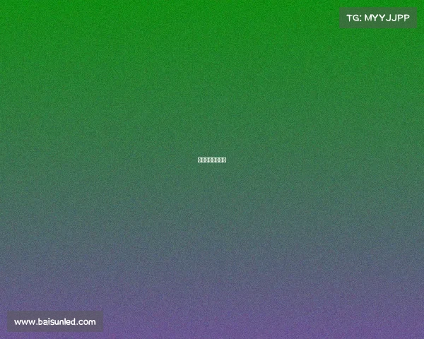 美式台球赛事级别